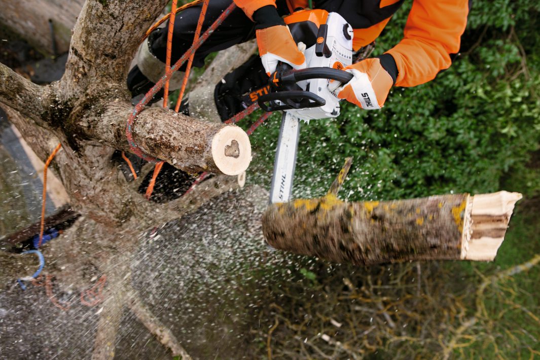 STIHL MS 201 TC-M Professional Top-Handle Chainsaw 2 STIHL MS 201 TC-M Professional Top-Handle Chainsaw