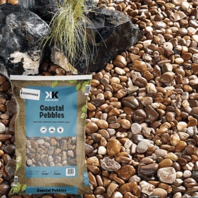 Coastal Pebbles