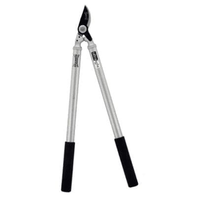 Wilkinson 1111247W