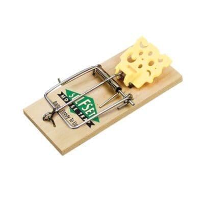 STV Self Set Wooden Mouse Trap - TVS100