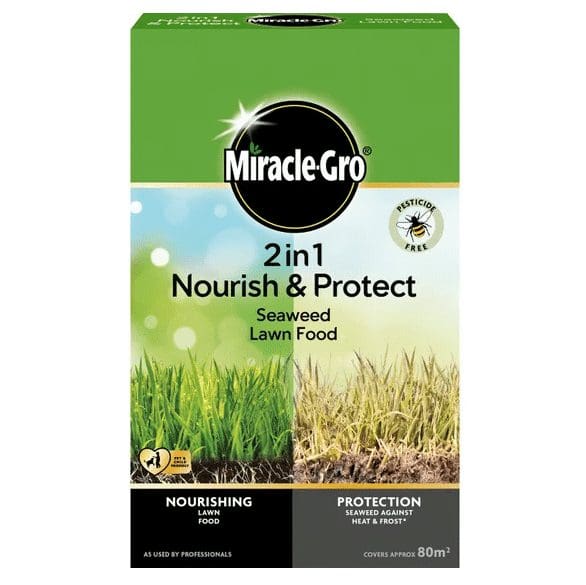 Miracle-Gro 2 in 1 Nourish & Protect Seaweed Lawn Food 1.2kg 1 Miracle-Gro 2 in 1 Nourish & Protect Seaweed Lawn Food