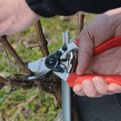 Felco No. 7 Secateurs