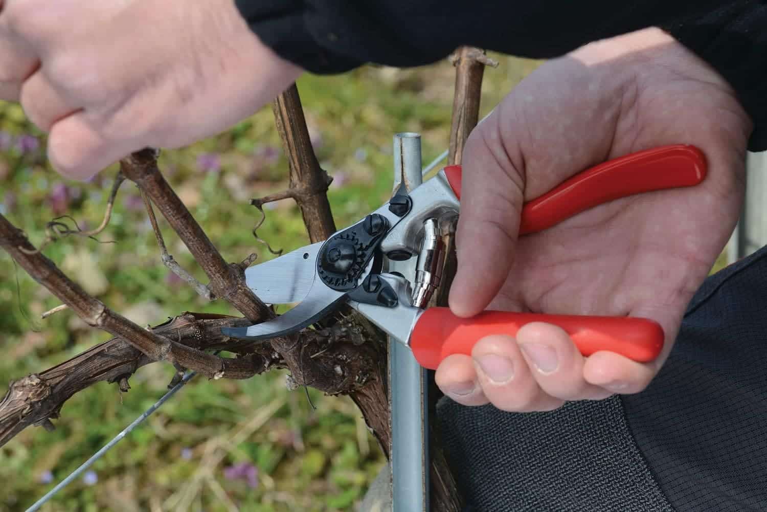 Felco No. 7 Secateurs 1 Felco No. 7 Secateurs