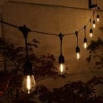 Noma Low Volt 20 Small Festoon Lights with Drop (Connectable)