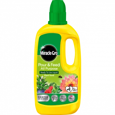 Miracle-Gro Pour & Feed