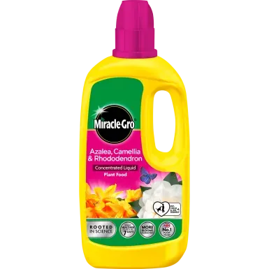 Miracle-Gro Azalea, Camellia & Rhododendron Concentrated Liquid Plant Food
