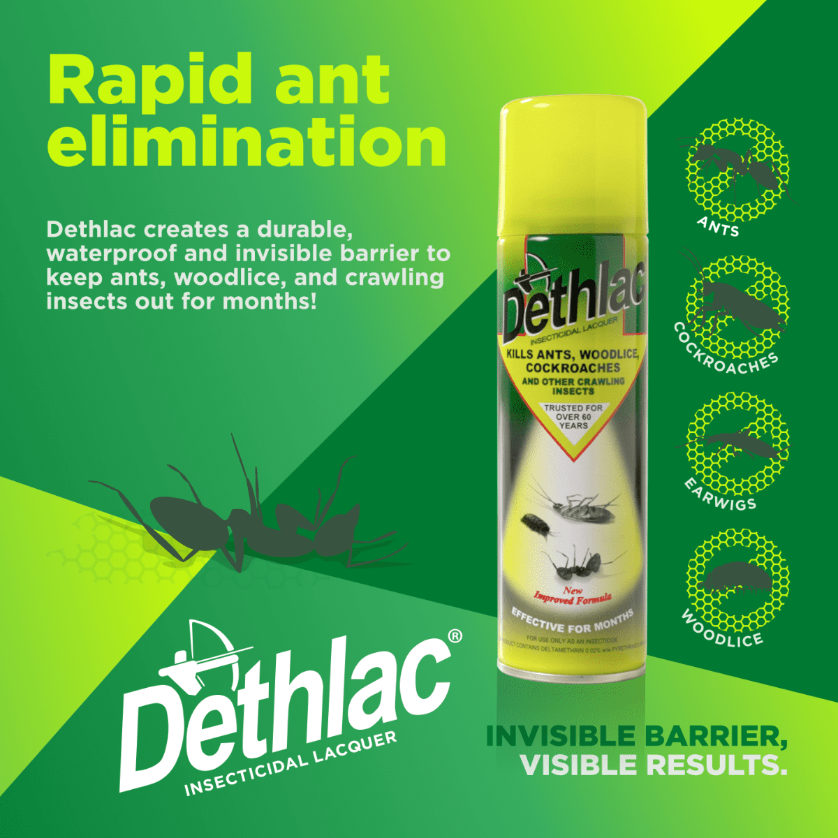 Dethlac Insecticidal Lacquer Spray 250ml 2 Dethlac Insecticidal Lacquer Spray 250ml - Image 2