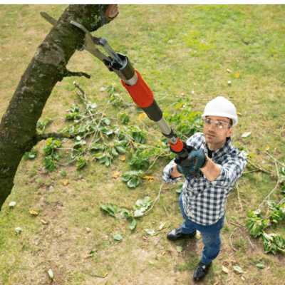 Bosch AdvancedPrune 18V-45 Cordless Pruner