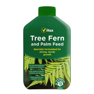 Vitax Liquid Tree Fern and Palm Feed 500ml