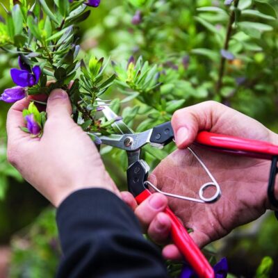 Felco 322 Snips