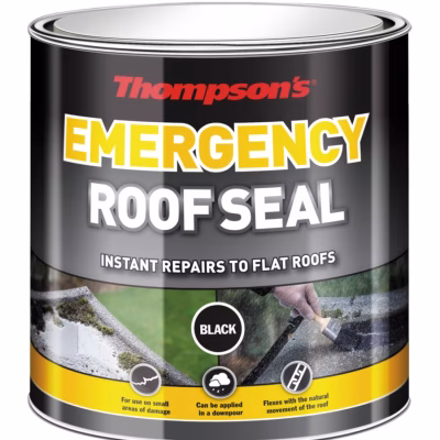 Thompsons Emergency Roof Seal Black