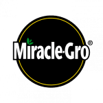 Miracle Gro Lawn Feed